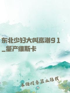 东北少妇大叫高潮91