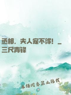 丞相，夫人宠不得！