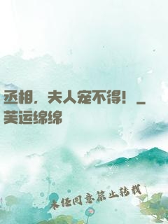 丞相，夫人宠不得！
