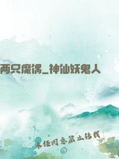两只魔偶