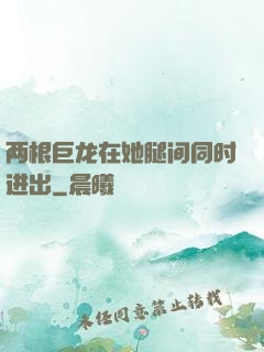 两根巨龙在她腿间同时进出