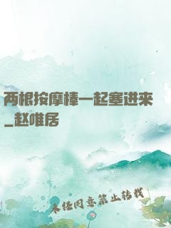 两根按摩棒一起塞进来