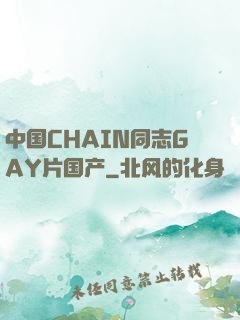 中国CHAIN同志GAY片国产