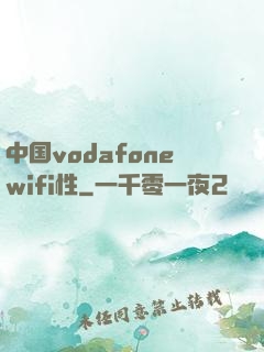 中国vodafonewifi性