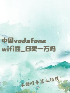 中国vodafonewifi性