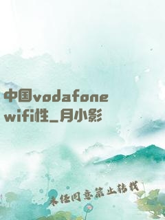 中国vodafonewifi性