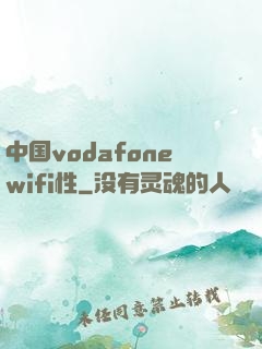 中国vodafonewifi性