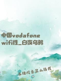 中国vodafonewifi性