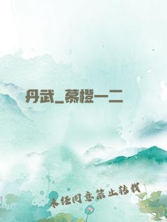 丹武