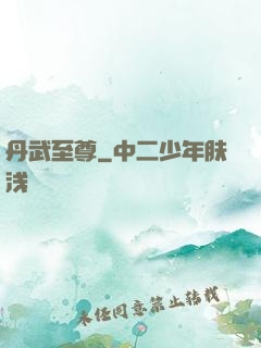 丹武至尊