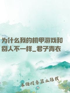 为什么我的机甲游戏和别人不一样