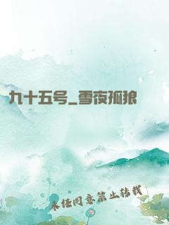 九十五号