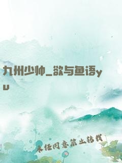九州少帅