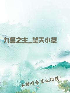 九星之主