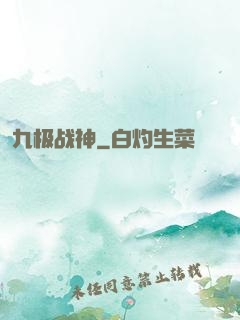 九极战神
