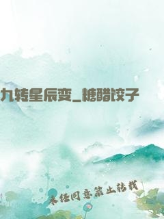 九转星辰变