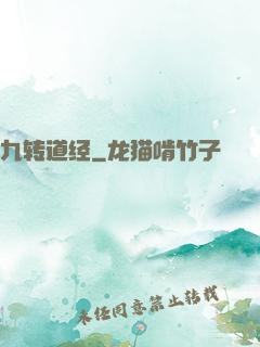 九转道经