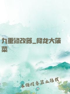 九重修改器