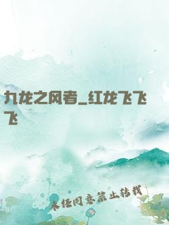 九龙之风者
