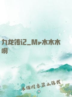 九龙传记