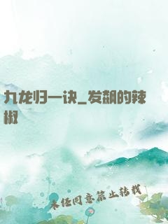 九龙归一诀