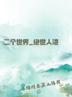 二个世界