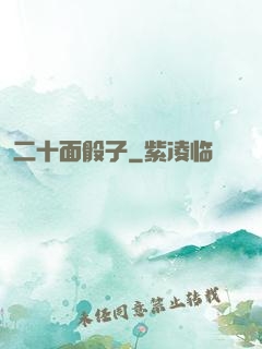 二十面骰子