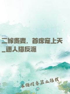 二嫁贵妻，首席宠上天