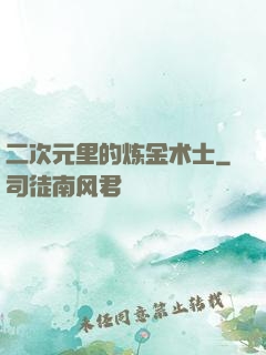 二次元里的炼金术士