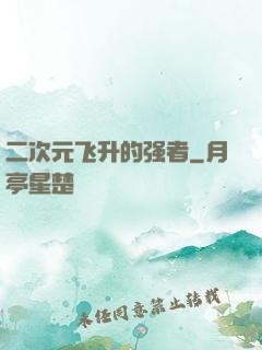 二次元飞升的强者