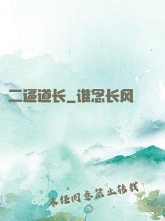 二逼道长