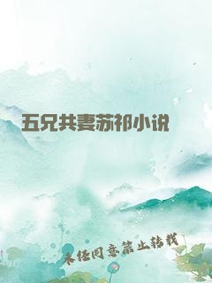 五兄共妻苏祁小说