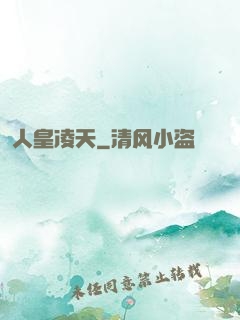 人皇凌天