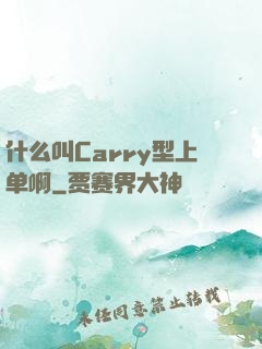 什么叫Carry型上单啊