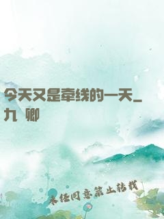 今天又是牵线的一天