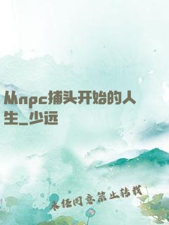 从npc捕头开始的人生