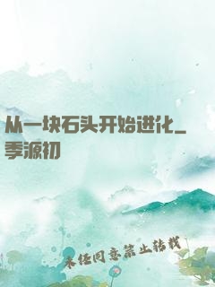 从一块石头开始进化