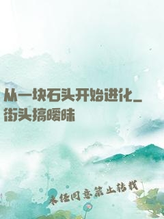从一块石头开始进化
