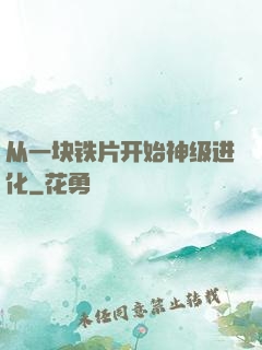 从一块铁片开始神级进化