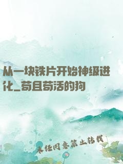 从一块铁片开始神级进化