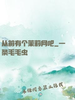 从前有个茉莉网吧