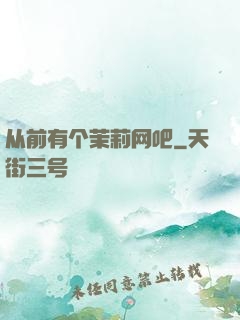 从前有个茉莉网吧