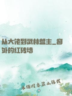 从大佬到武林盟主