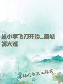 从小李飞刀开始