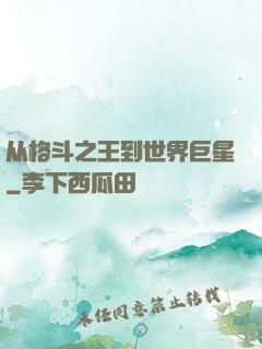 从格斗之王到世界巨星