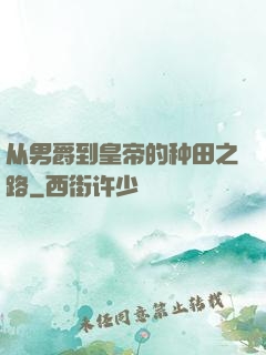 从男爵到皇帝的种田之路