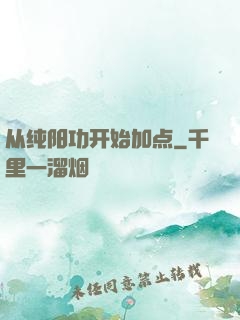 从纯阳功开始加点