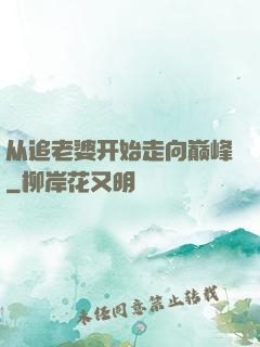 从追老婆开始走向巅峰