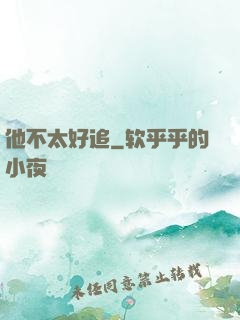 他不太好追