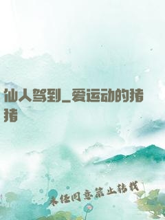 仙人驾到